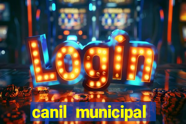 canil municipal porto alegre